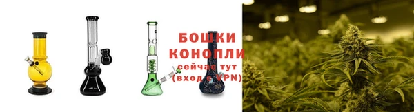 индика Белокуриха