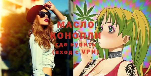 индика Балахна