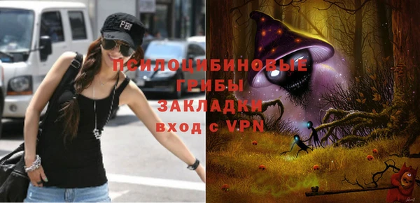 эйфоретик Богданович