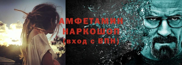 индика Белокуриха