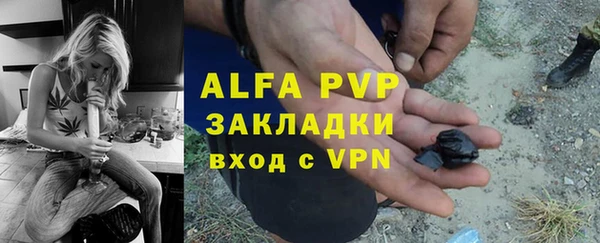 индика Белокуриха