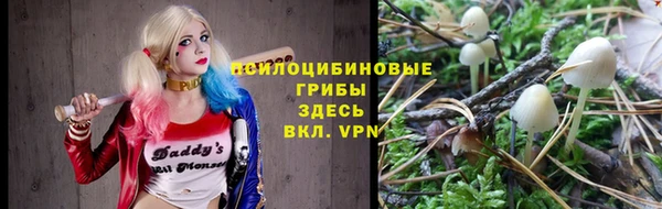 mdpv Беломорск