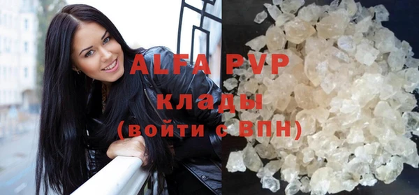 индика Белокуриха